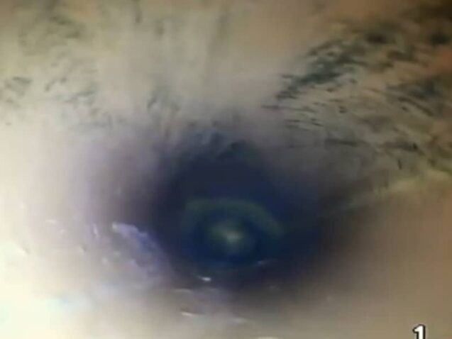 Reparatii conducte Camasuire conducte canalizare Short liner 1 1