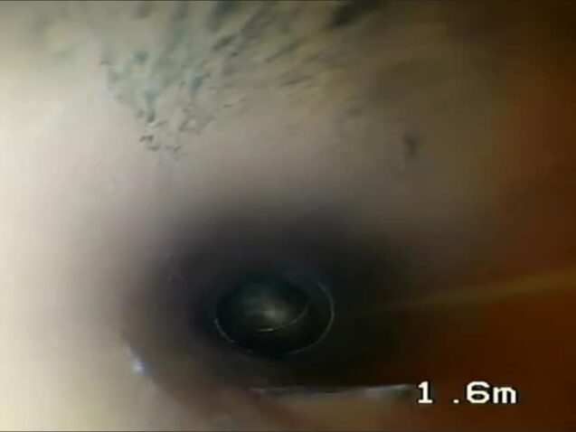 Reparatii conducte Camasuire conducte canalizare Short liner